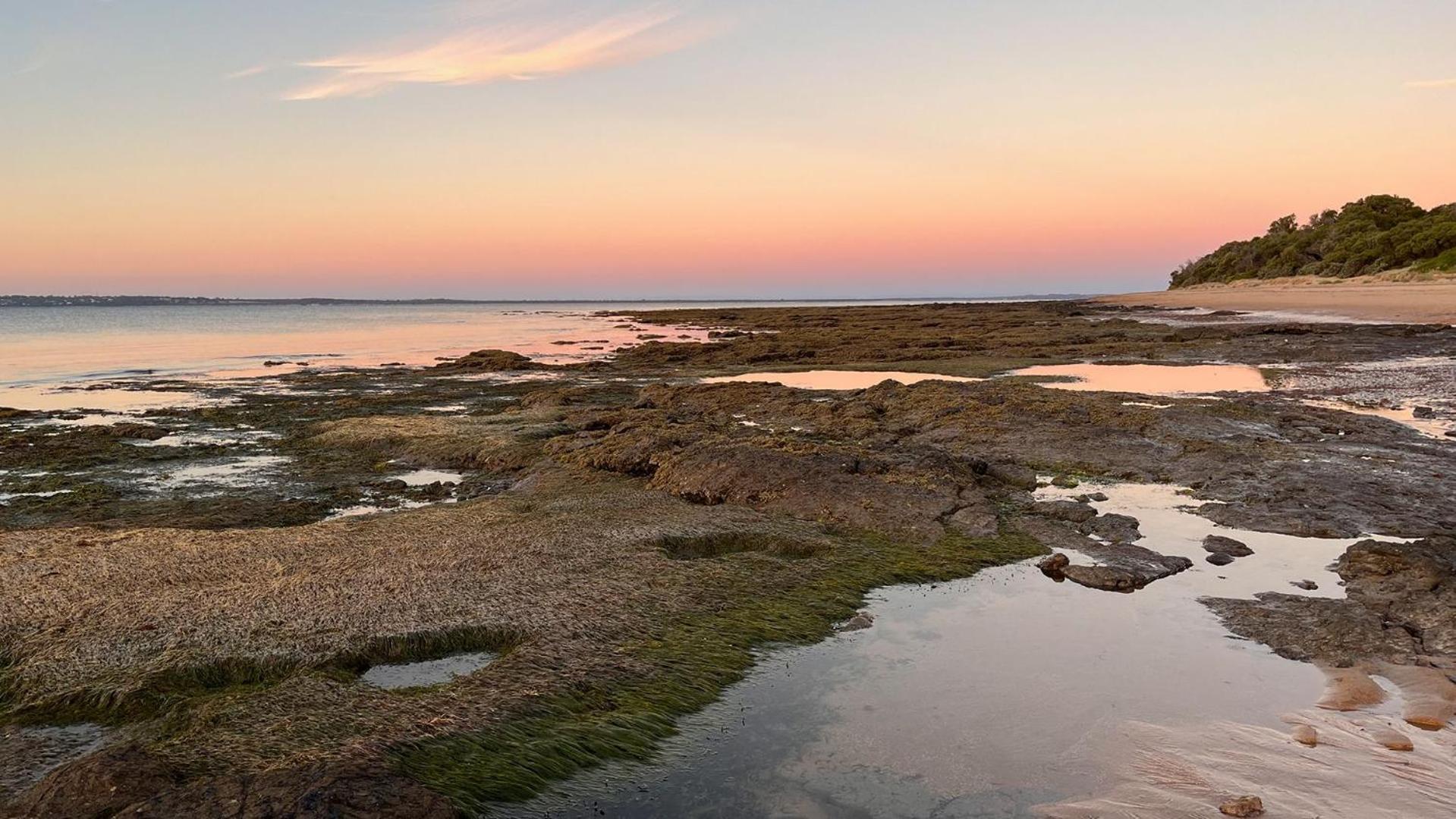 Вілла Seasong Ventnor Екстер'єр фото